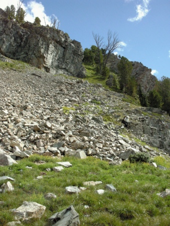 Enlarge photo 72