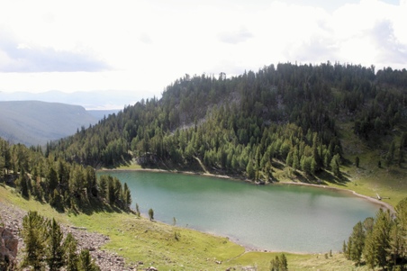 Enlarge photo 73