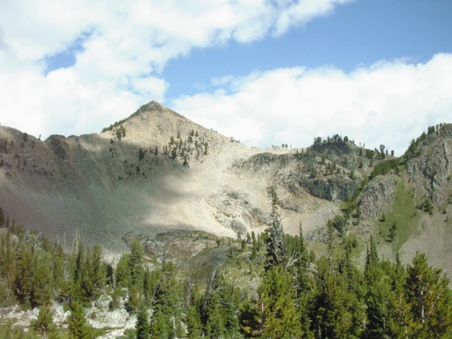 Enlarge photo 75