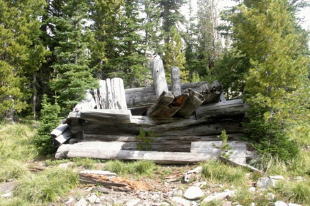 Enlarge photo 77