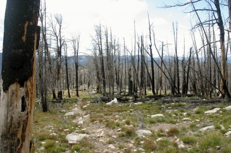 Enlarge photo 82