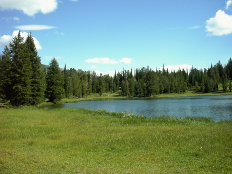 Enlarge photo 85