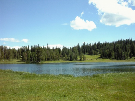 Enlarge photo 86