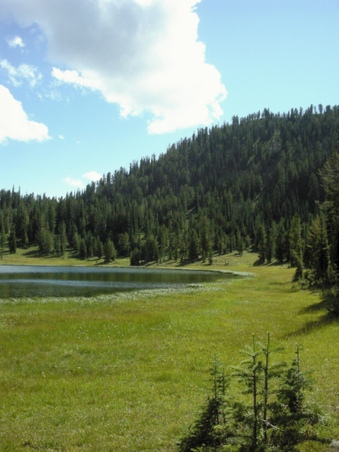 Enlarge photo 87