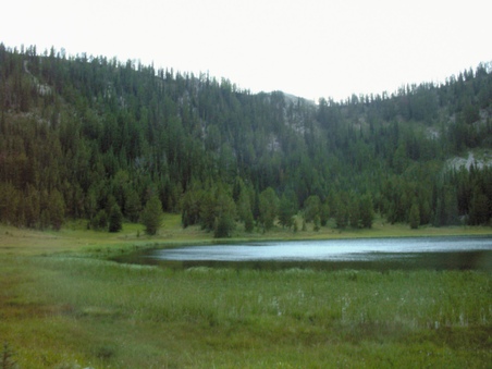 Enlarge photo 94