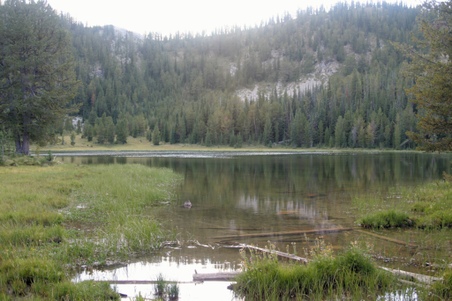 Enlarge photo 96
