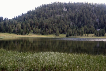 Enlarge photo 97