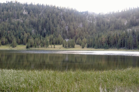 Enlarge photo 98