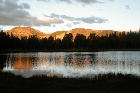 Enlarge photo 99
