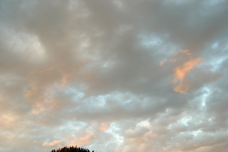Enlarge photo 102