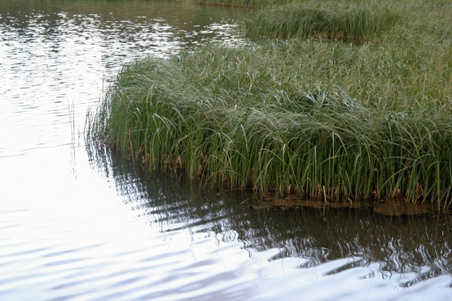 Enlarge photo 103