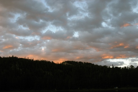 Enlarge photo 105