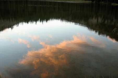 Enlarge photo 108