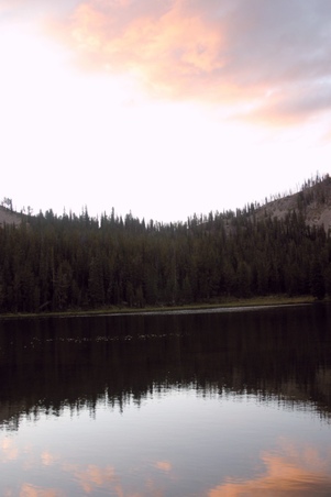 Enlarge photo 109
