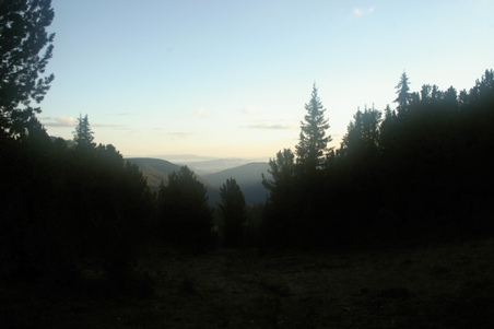 Enlarge photo 113