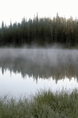 Enlarge photo 117
