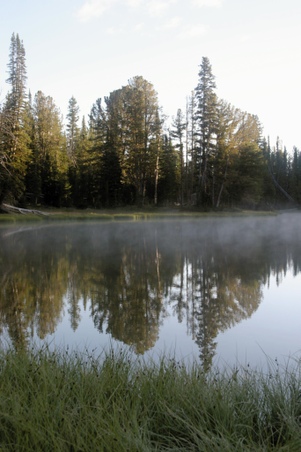 Enlarge photo 118