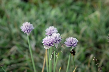 Enlarge photo 121