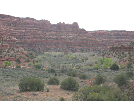 Enlarge photo 14