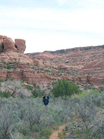 Enlarge photo 16