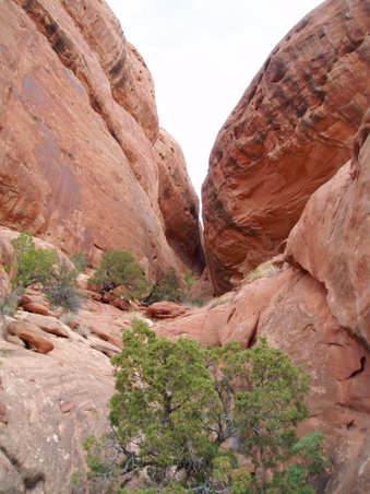 Enlarge photo 17