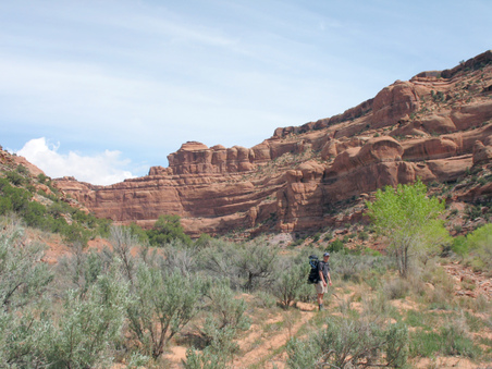 Enlarge photo 23