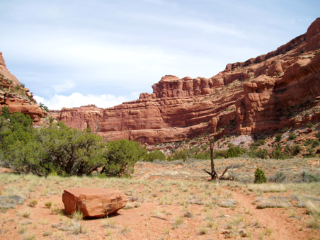 Enlarge photo 24