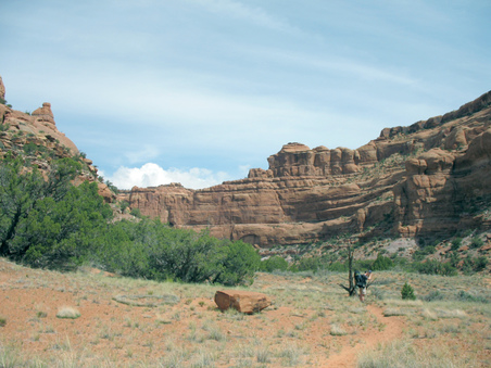 Enlarge photo 25