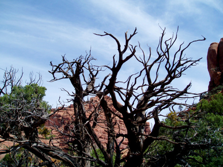 Enlarge photo 27
