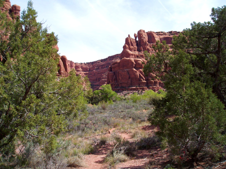 Enlarge photo 28