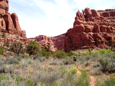 Enlarge photo 31