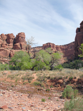 Enlarge photo 32