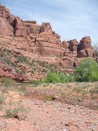 Enlarge photo 33