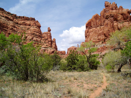 Enlarge photo 37