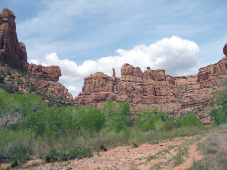 Enlarge photo 40
