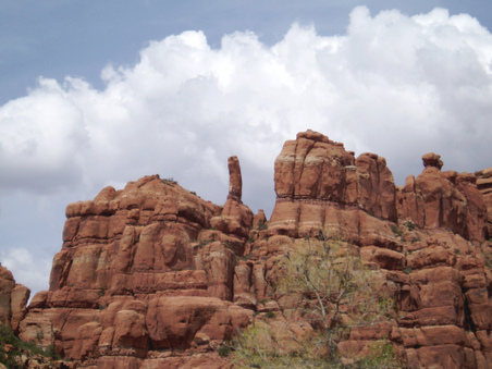 Enlarge photo 41