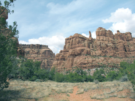 Enlarge photo 42