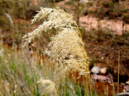 Enlarge photo 46