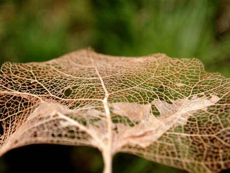 Enlarge photo 48
