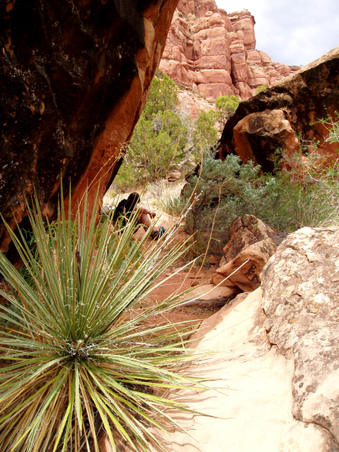 Enlarge photo 57