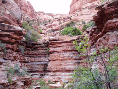 Enlarge photo 62