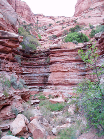 Enlarge photo 63