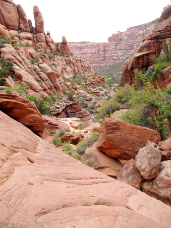 Enlarge photo 64