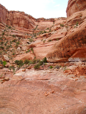Enlarge photo 65