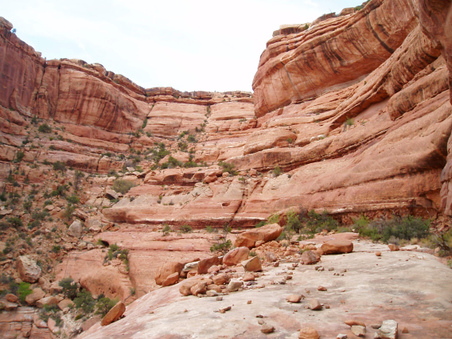 Enlarge photo 66