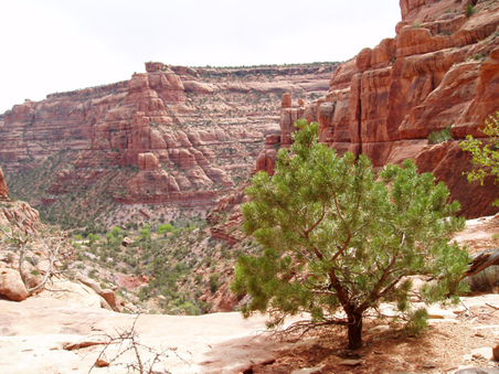 Enlarge photo 68