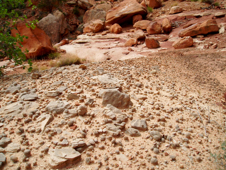 Enlarge photo 69