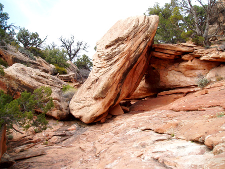 Enlarge photo 73