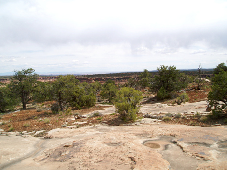 Enlarge photo 76