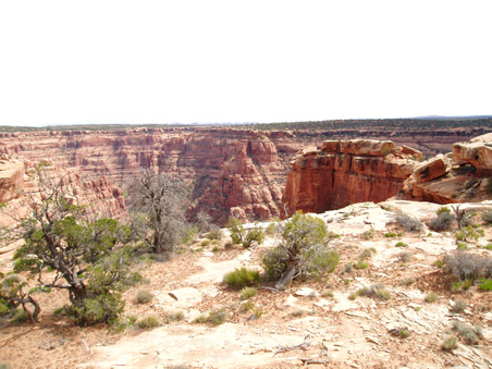 Enlarge photo 78